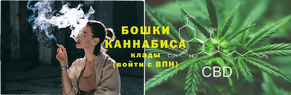 PSILOCYBIN Армянск