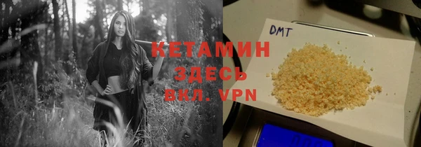 хмурый Аркадак