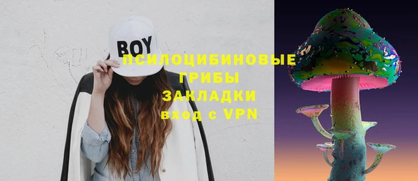 хмурый Аркадак