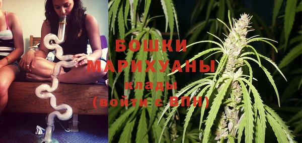 PSILOCYBIN Армянск