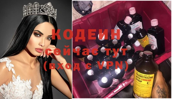 хмурый Аркадак