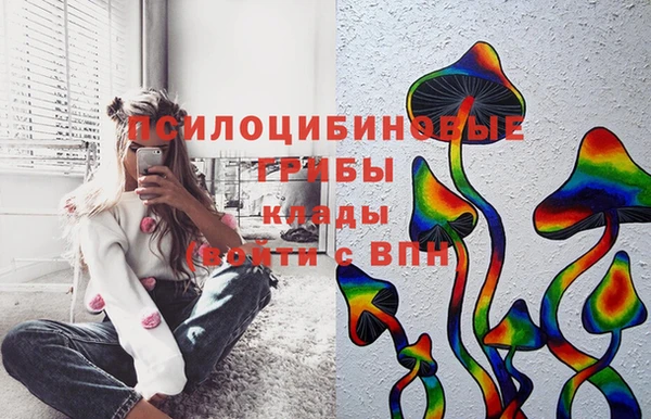 МДМА Арсеньев