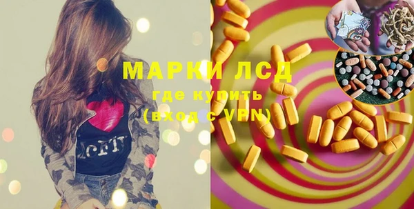 хмурый Аркадак