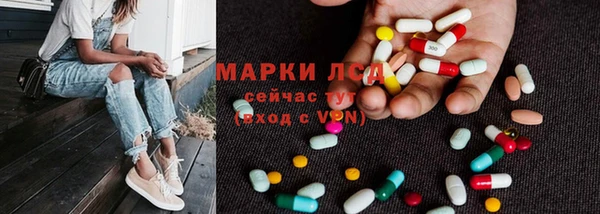 хмурый Аркадак