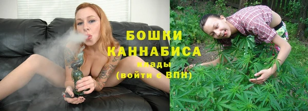 PSILOCYBIN Армянск