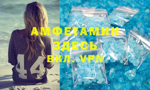 хмурый Аркадак